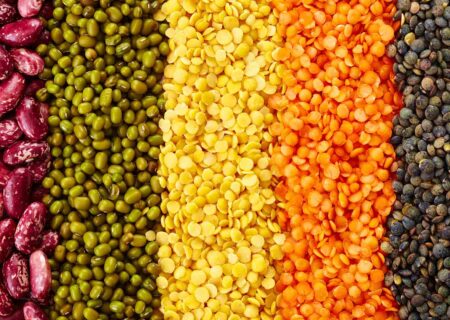 Anti-nutrients Herbaria