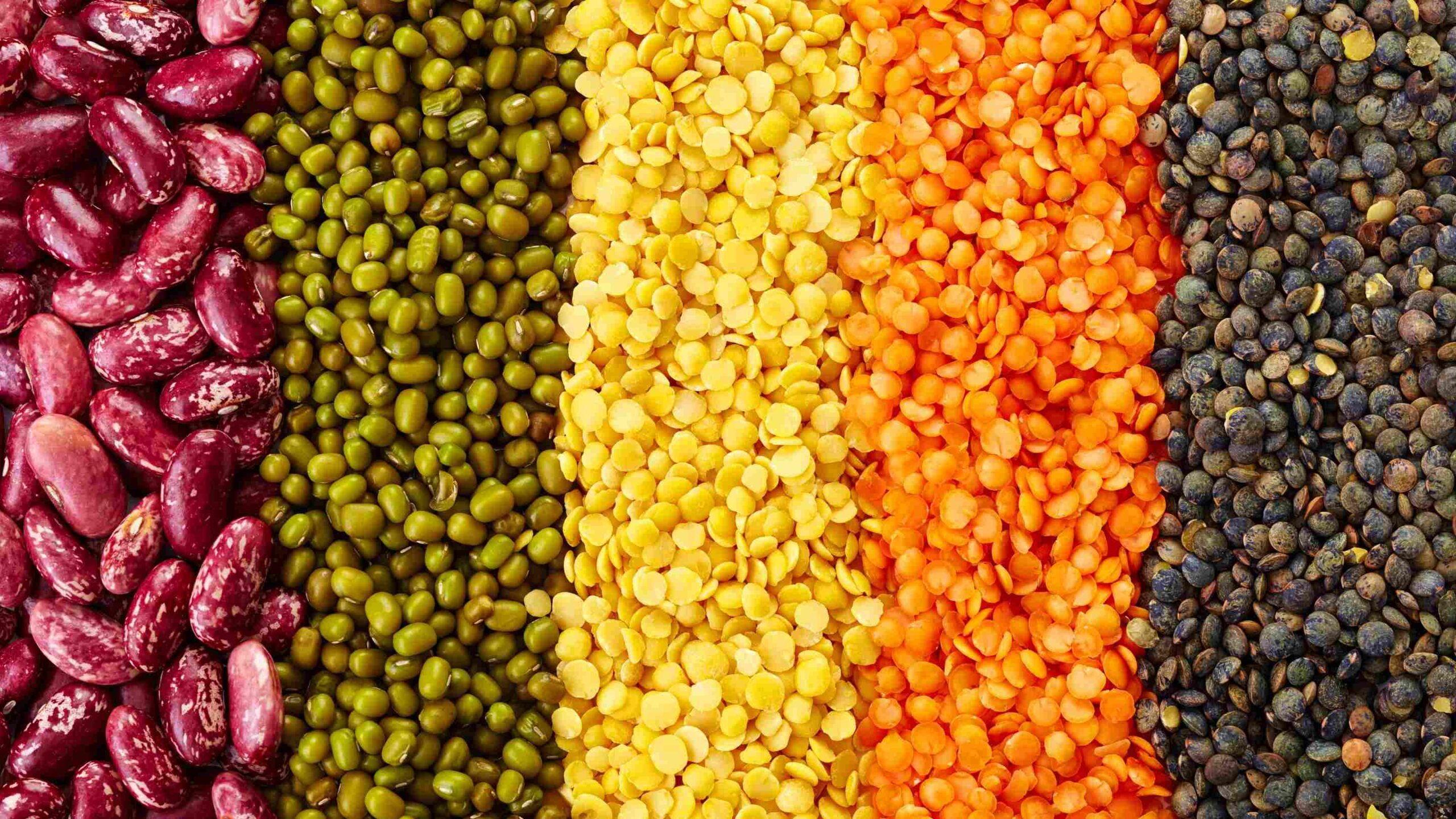 Anti-nutrients Herbaria