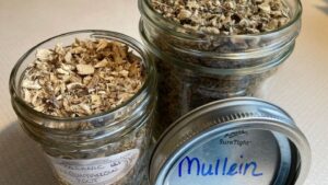 Herbs for Allergies