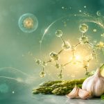 Can we get Glutathione from our diet?